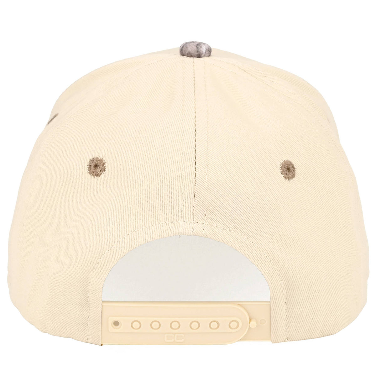 Raising Hell Snapback Hat